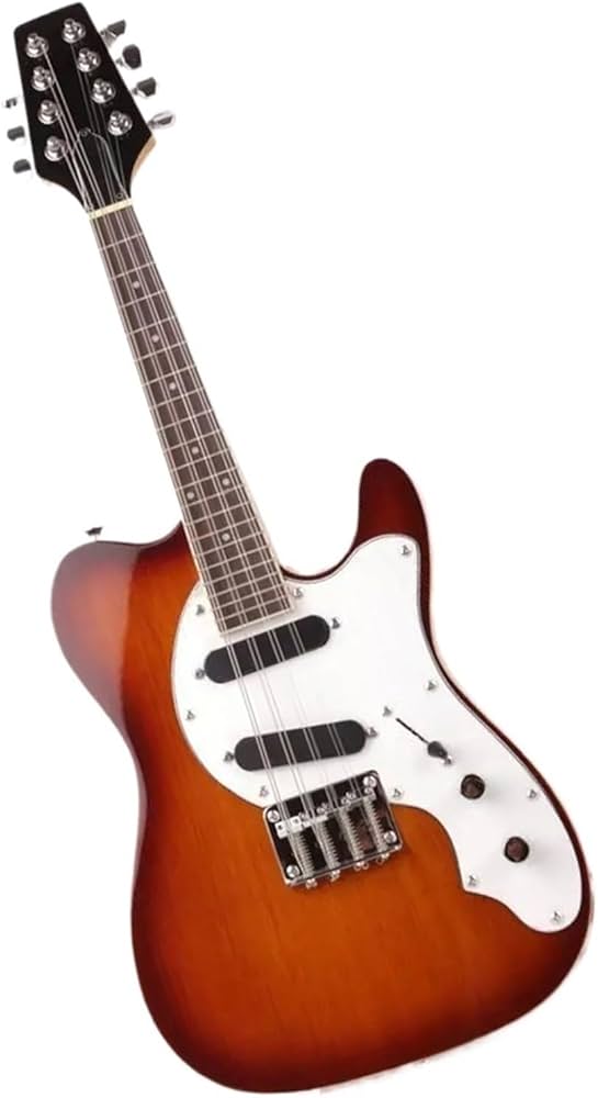 Amazon | マンドリン 8弦エレクトリックマンドリン 最高級のトーン