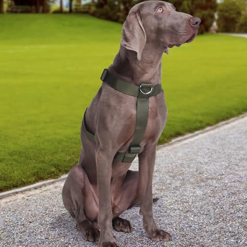 Hundegeschirr Mittelgroße Grosse Hunde, Taktisches Hundegeschirr Ausbruchsicheres, Gepolsterte Anti Zug Brustgeschirr Weich Verstellbares Dog Harness für Hunde Alltag und Training (Grün, M)