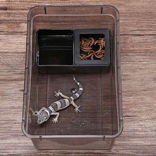 Cage et boîte d'élevage pour petits aquariums et reptiles