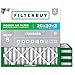 FilterBuy 20x20x2 MERV 8 Pleated AC Furnace Air Filter, (Pack of 4 Filters), 20x20x2 – Silver
