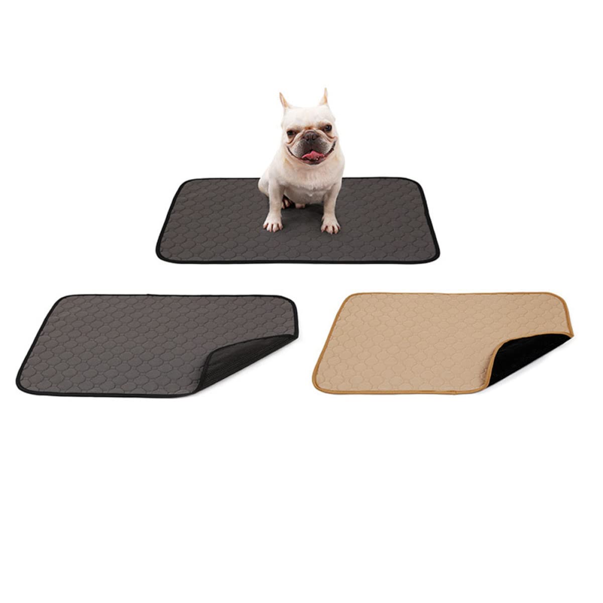 FRCOLOR Tappetino Igienico Assorbente per Cani e Gattini, Lavabile, , per Addestramento e Uso Quotidiano