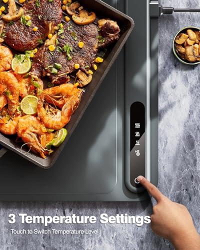 image for iTRUSOU Electric Warming Tray - Full Surface Heating,Rollable & Portab