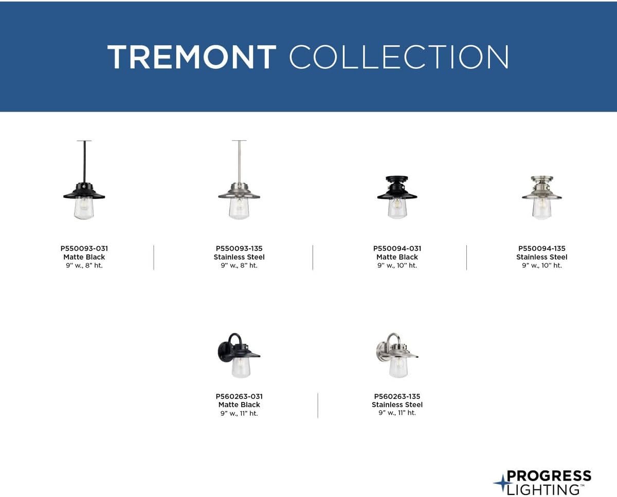Progress Lighting Tremont Collection 1-Light Stainless Steel Clear Seeded Glass Farmhouse Outdoor Semi-Flush Mount Light