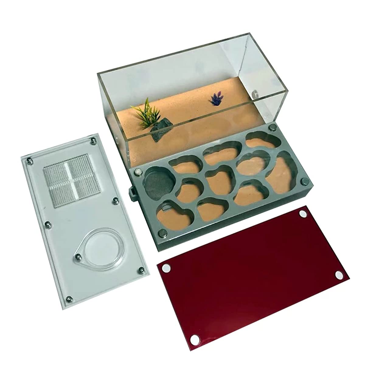 Granja De Hormigas Hormigón Hormigueros Acrilico Hormiga Nido Kit Área Alimentación Insect Nest Hábitat AntHouse Hormiguero Juguete Educativo para Niños