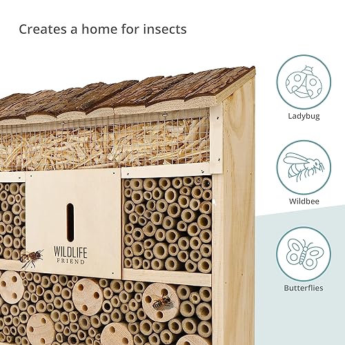 Wildlife Friend I Bee Hotel Insect Hotel - 29.5 x 28 x 10 cm - untreated, Solid Wood bee House for Bees, Ladybugs & lacewings - Hanging Insect House & Nesting aid - Image 5