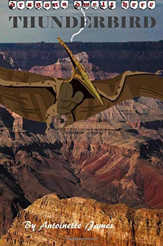 Thunderbird: Volume 1 (dragons dwelt here)