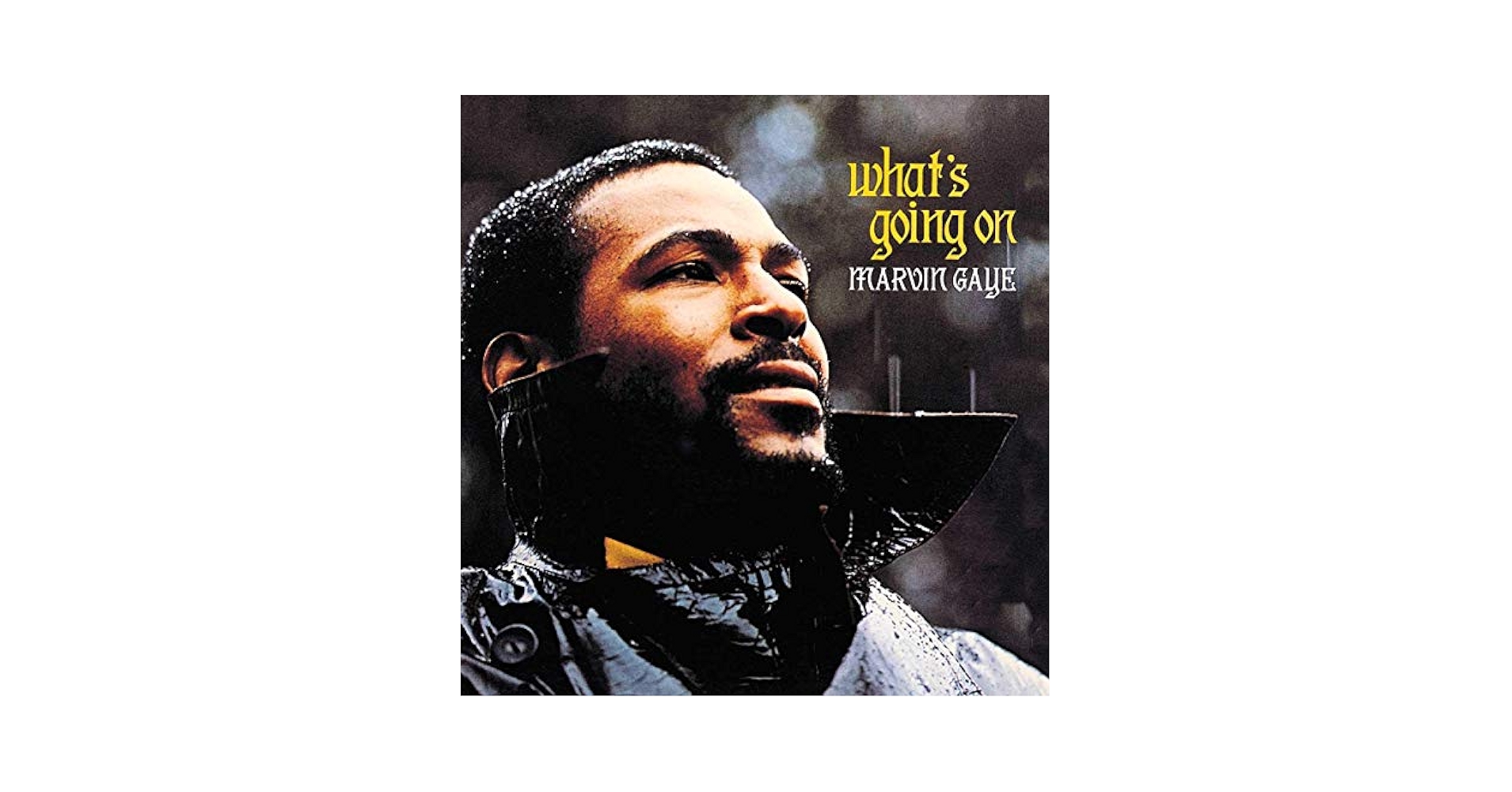 Marvin Gaye US オリジナル 『What's Going On』 GAYE,MARVIN - What's Going On - Limited Gatefold 180-Gram