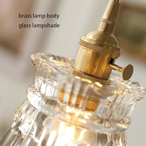 Lámparas Colgantes de Vidrio Mini Candelabro Ajustable de Latón Cepillado E27 para Techo 6