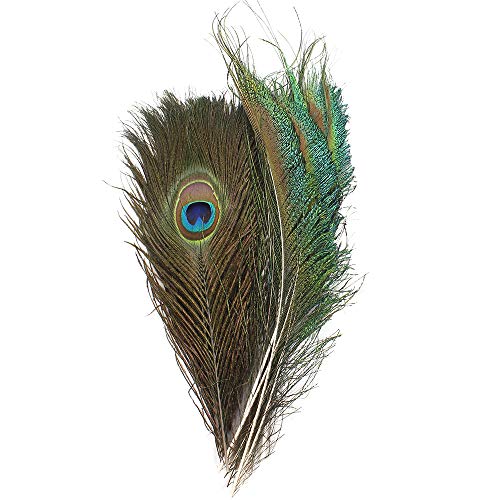 Real Natural Peacock Feathers 10-12 inchs 10pcs and Peacock Sword Feathers 12-15 inchs 10pcs for DIY Craft,Wedding Decoration (20)