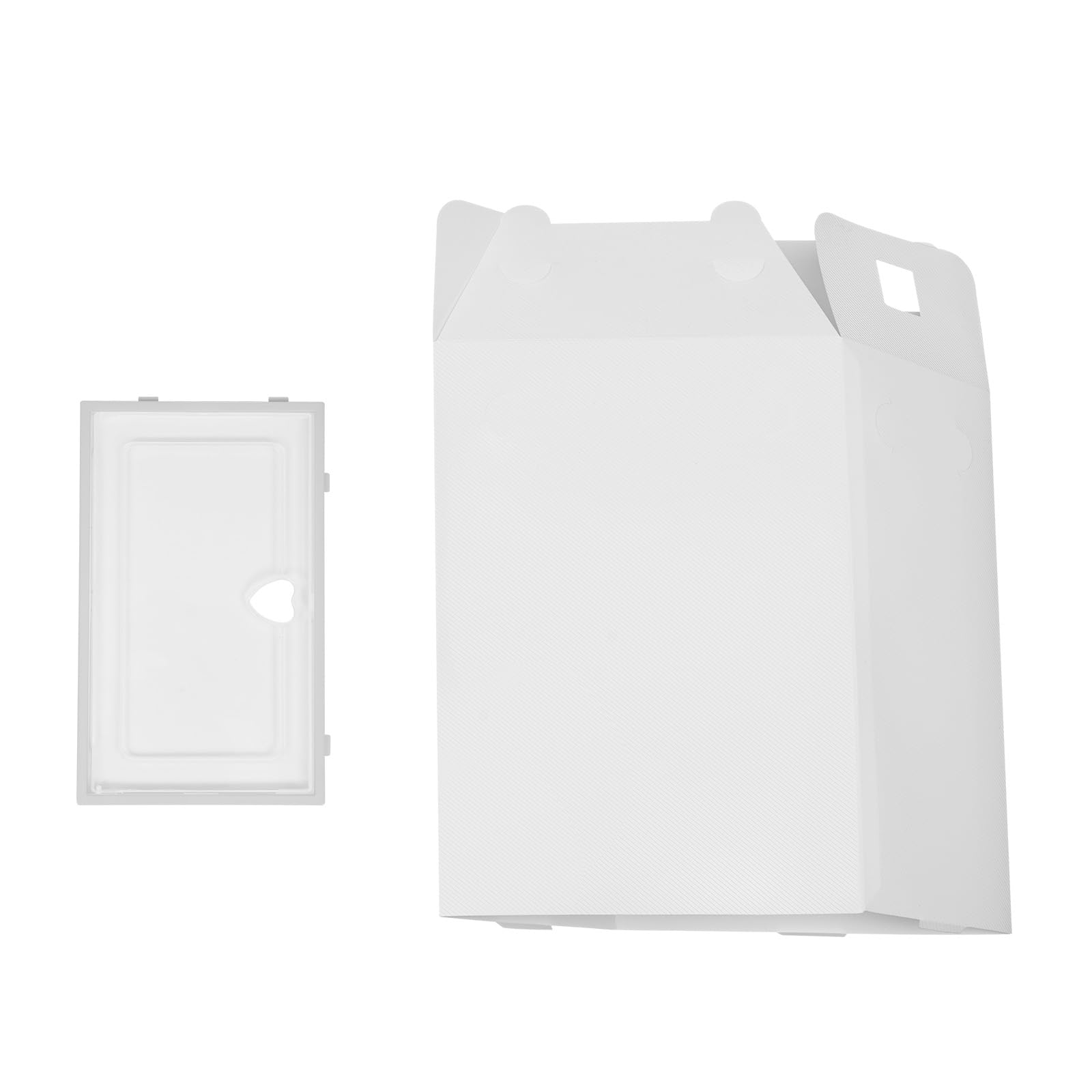 WooDerson 20 Scatole Portascarpe In Plastica Impilabili Trasparenti - Organizer Per Scarpe Uomo E Donna (23x33x14 Cm, Blu Trasparente)