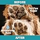 GJYC PET Pfotenbalsam-Roller für Hunde & Katzen - Natürlicher Stift mit Pflanzen-Glycerin, Pflegt rissige Pfoten/Nasen, Roll-On Applikator, 8g