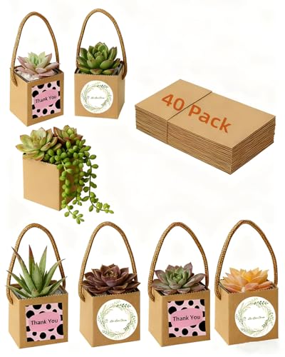 Cajas de regalo para suculentas con 30% de descuento - 40 unidades