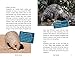 The Nocturnals Explore Unique Adaptations of Nighttime Animals: Nonfiction Chapter Book Companion to The Mysterious Abductions