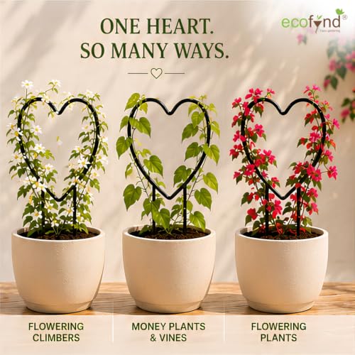Image of ecofynd 2 Pack Black Iron Garden Trellis for Climbing Plants | Rust Free Vine Plant Metal Support Wire with Black Coating | Holder Rack for Garden Stem Stalks Vines (Heart)