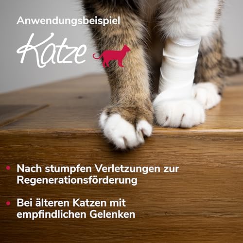 HERZENSTIER Arnikawunderwickel für Pferde, Hunde & Katzen – getränkte Bandage mit 100% Arnika – Unterstützung bei Regeneration, Prellungen & Muskelkater – 4 m lang, mehrfach verwendbar