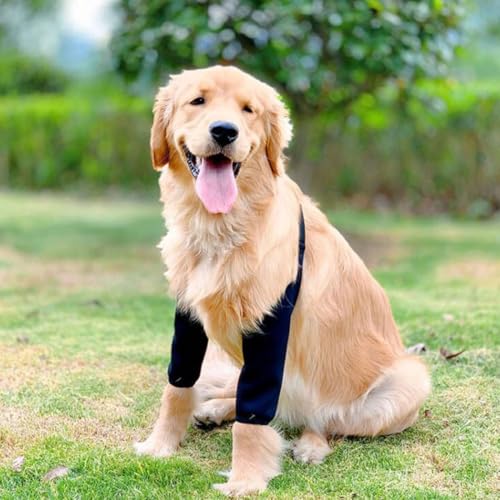 QEDBOJE Hundebeinschutz Ellenbogenbandage Hund verhindert das Lecken von Wunden hilft bei Arthritis (XL für mittelgroße und große Hunde)