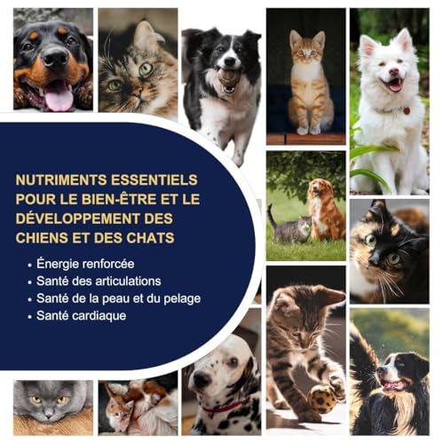 Omegor Pet - Complément Oméga-3 pour Chiens et Chats avec EPA et DHA à partir d'Huile de Poisson Purifiée de Très Haute Qualité - pour la santé du Pelage et des articulations de Votre Animal. – Image 6