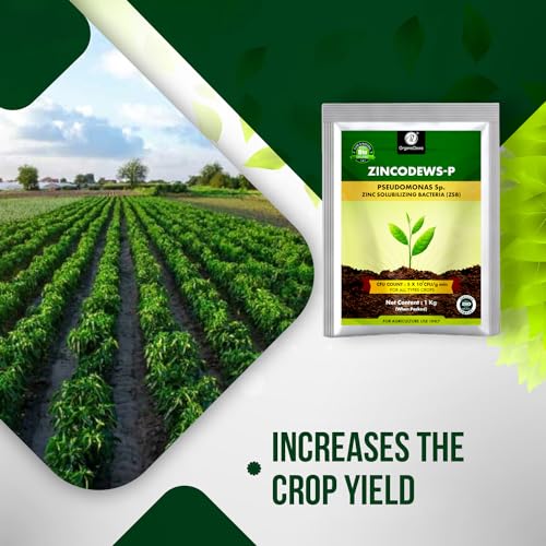Image of OrganicDews Zinc Solublizing Bacteria Bio Fertilizer 1 Kg (5x10^7 CFU /g) for Plants - Soil Fertility, Faster Plant Growth and Increases the Yield 1 Kg