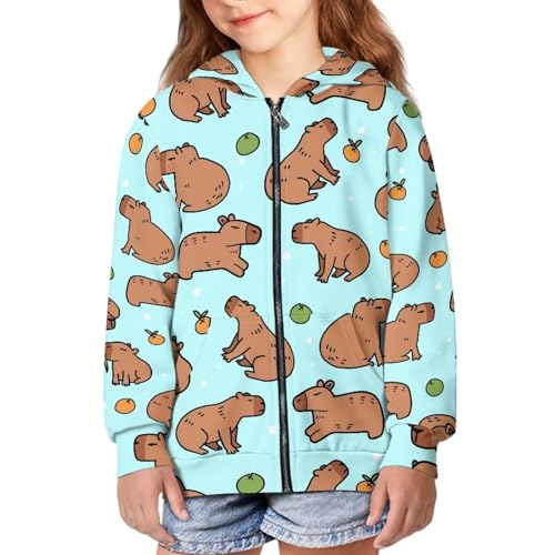 Image of Zipper Hoodie for Kids Full Zip Up Sweatshirt Active Coat Hooded Pullover with Pockets Size 6-16 Boys Girls