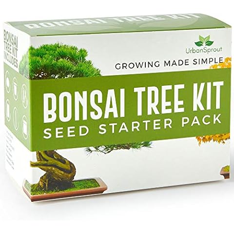 Urban Sprout Bonsai Tree Kit - Grow Your Own Bonsai Trees from Seed - Sustainable Eco Gardening Gift Set with 5 Bonzai Seed Varieties and Bonzie Starter kit Tools Cover
