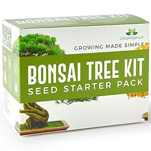 Urban Sprout Bonsai Tree Kit – Grow Your Own Bonsai Trees from Seed – Sustainable Eco Gardening Gift Set with 5 Bonzai…