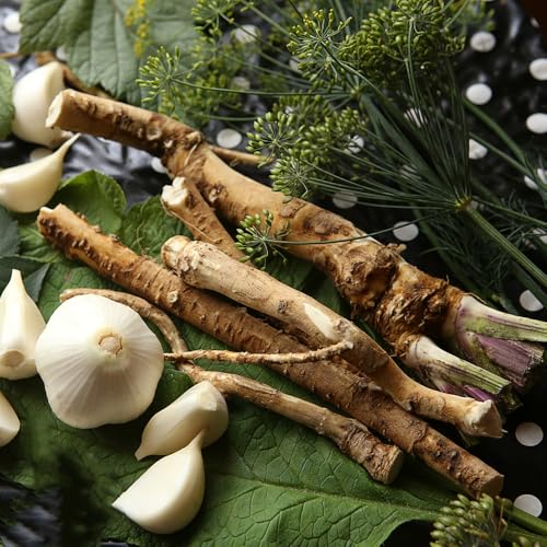 semi di rafano biologici - resistenti, giardino perenni 150pcs