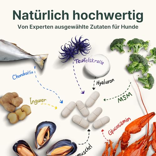 Gelenktabletten Hund, Apotheker Rezeptur, 90 Stück reicht bis zu 6 Monate, von Apothekern entwickelt & Tierärzten geprüft, mit Grünlippmuschel hochdosiert, Glucosamin, MSM, Chondroitin, Teufelskralle
