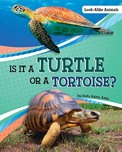 Is It a Turtle or a Tortoise? (Look-alike Animals)