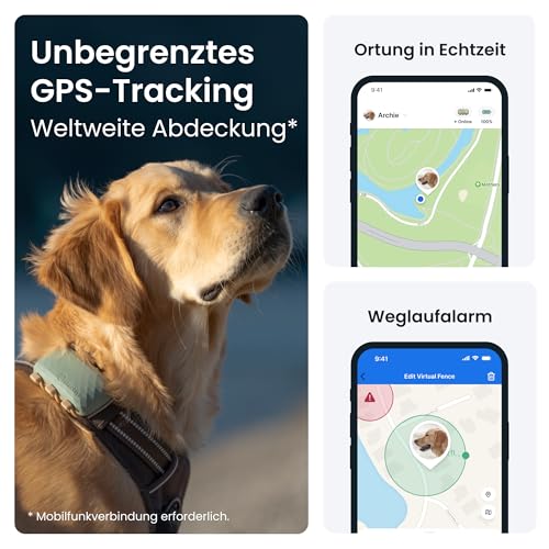 Tractive XL GPS Tracker für Hunde | Empfohlen von Martin Rütter | Bis zu 1 Monat Akku | Weltweite Live-Ortung | Weglaufalarm | Gesundheitswarnungen & Aktivitätstracking | Mehrfacher Testsieger