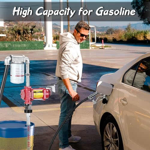 Image of TRUPOW 12V DC 10GPM Self-priming Gasoline Diesel Oil Fuel Transfer Explosion-proof Pump Kit with with Particulate Filter and Nozzle for Gasoline Diesel Kerosene & More