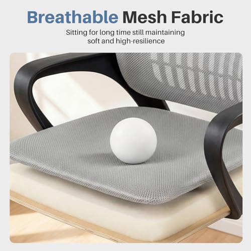 Image of DUMOS Home Office Chair, Ergonomic Lumbar Support Desk Chair