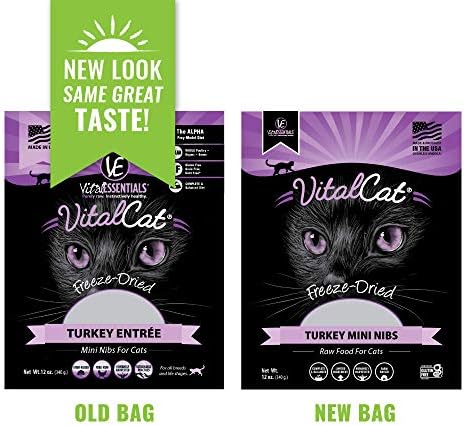 vital essentials cat