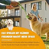 SUNFATT 10 Stück Hundespielzeug Set für Welpen & kleine Hunde – Robustes Welpenspielzeug aus 100% Baumwolle & Plüsch – Hundespielzeug Seil & Quietschend zur Zahnpflege – Waschbare Erstausstattung