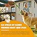 SUNFATT 10 Stück Hundespielzeug Set für Welpen & kleine Hunde – Robustes Welpenspielzeug aus 100% Baumwolle & Plüsch – Hundespielzeug Seil & Quietschend zur Zahnpflege – Waschbare Erstausstattung