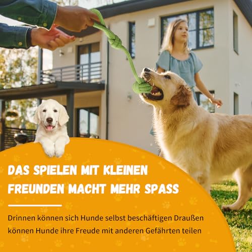 SUNFATT 10 Stück Hundespielzeug Set für Welpen & kleine Hunde – Robustes Welpenspielzeug aus 100% Baumwolle & Plüsch – Hundespielzeug Seil & Quietschend zur Zahnpflege – Waschbare Erstausstattung
