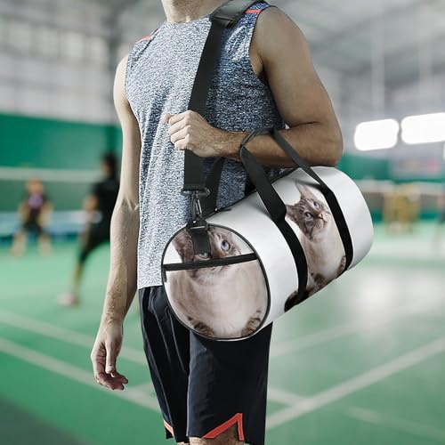 Sac de voyage Fat Cat idéal pour compartimenter la gym - 7