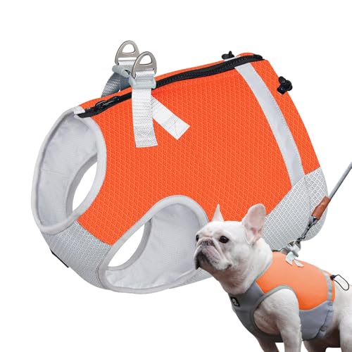 ppn[lX,p3wpnpn[lX - ˃Xgbvt̉KȎqpxXg - X|[cAnCLOAẴg[jOɍœK