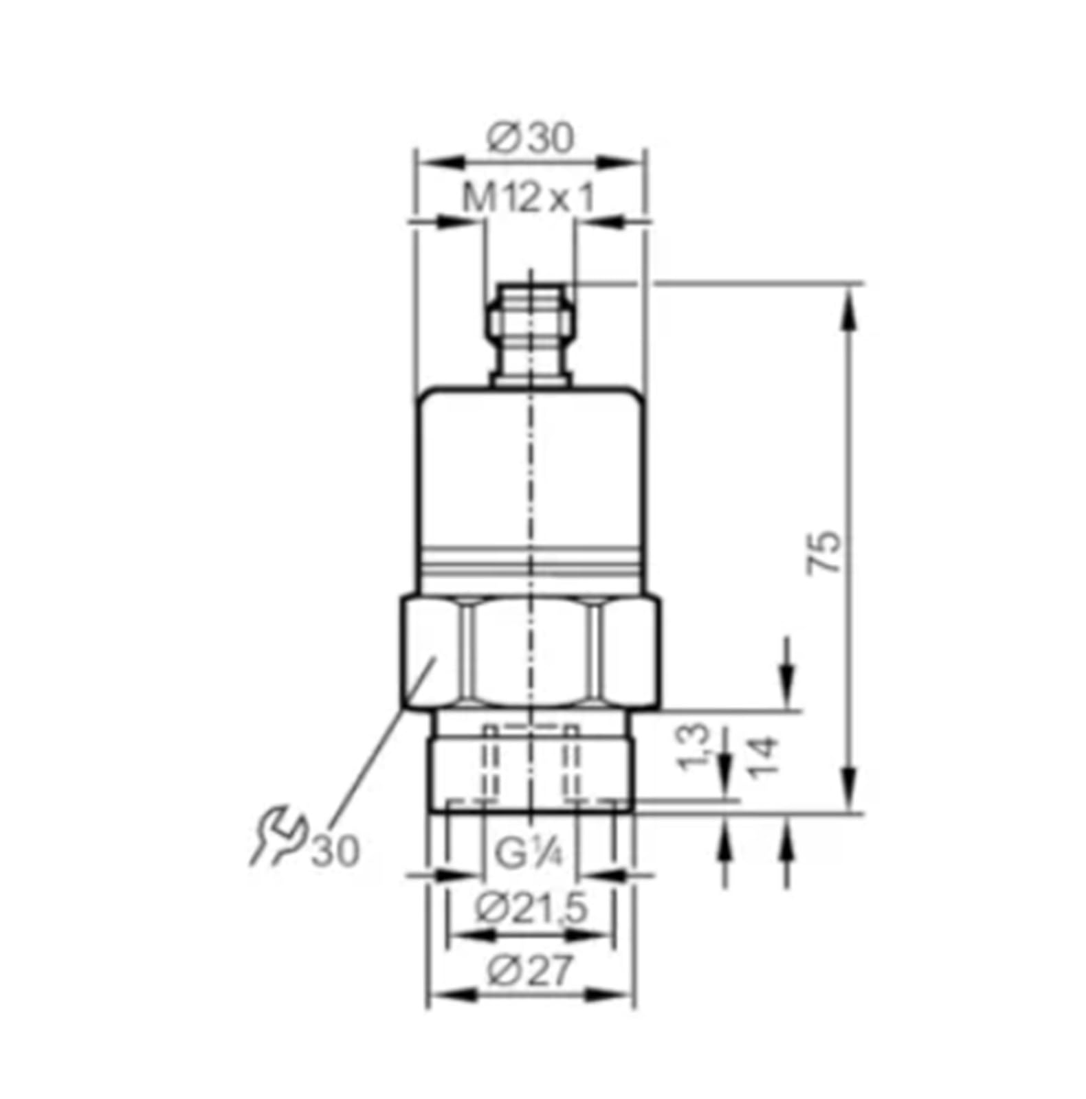 Transmisor de Presión PA3021 G1/4 Rosca interna