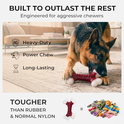 Kseroo Indestructible Dog Toys for Aggressive Chewers: Beef Flavored Hard Nylon Bone Chew Toys for Medium Large Breed Dogs (20-90 lbs), Red