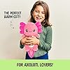 Axolotl Microwavable Unscented Heating Pad for Women and Kids- Cute Soft Cozy Pillow Plush Heatable Warm Stuffed Animals - Kawaii Hot and Cold Plushie Food Toy - Axolotl Gifts for Girls and Boys #1