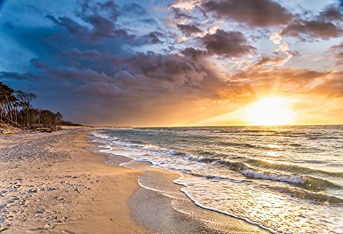 Yeele Tropical Beach Backdrop 3D Nature Sunset Backdrop For Wedding Holiday Vinyl Photography Background Peace Ocean Hawaiian Backdrop Baby Photo Portrait Vinyl Studio Prop 6X4Ft #TOP18