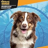 Hunde Agility Tunnel - Hundetunnel Spieltunnel Agilitytunnel Hundehöhle inkl Heringe und Transporttasche 300 x 50 cm