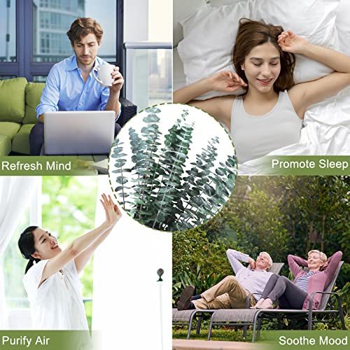 16Pcs-Preserved-Dried-Eucalyptus-Branches,17