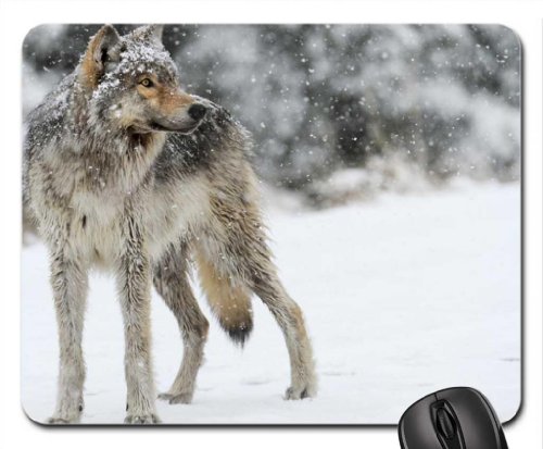 Preisvergleich Produktbild snow walker Mouse Pad, Mousepad