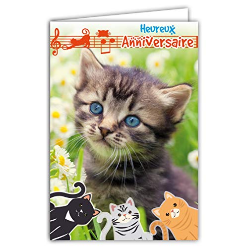 Afie - Tarjeta de felicitación, cumpleaños, gatito, pequeños gatos, lindos flores, pajaritas musicales, alcance llave de suelo, notas fabricadas en Francia