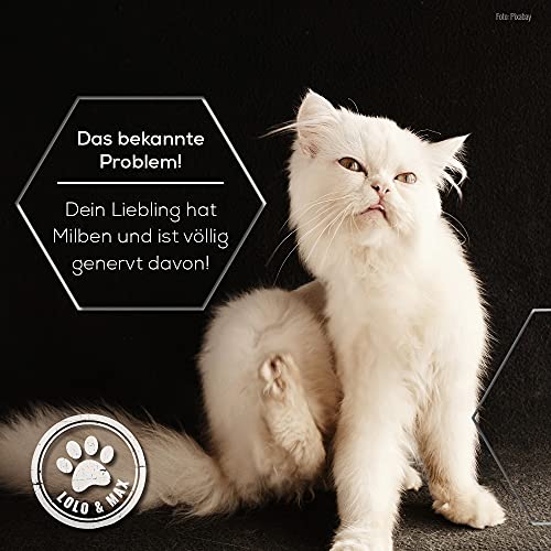 Lolo & Max - Floh- und Zeckenmittel für Katzen 100% Natürlicher Spot On - Bis zu 8 Monate Abwehr & Bekämpfung von Flöhen & Parasiten (Zecken,Milben,Läuse,Haarlinge,Wanzen) - Mittel gegen Flöhe - 40ml