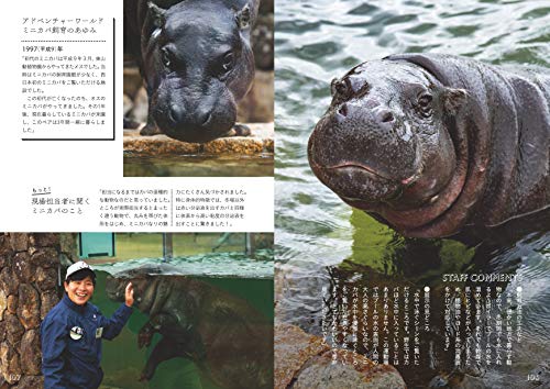 コビトカバは日本の動物園にいる カバとの違いは おすすめイベント 100均大好きママのひらめきブログ コビトカバは日本の動物園にいる カバとの違いは おすすめイベント 100均大好きママのひらめきブログ