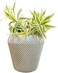 VASOS POLIETILENO BOJO LINEAR DECORATIVO P/PLANTAS/JARDINS/ESCRITÓRIOS LUXO