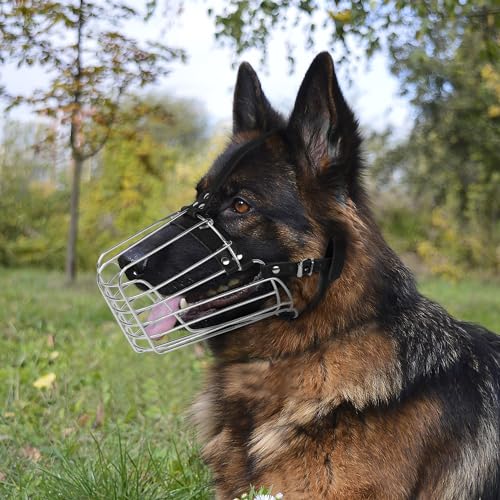 BUDKAS Deutscher Schäferhund Maulkorb Metall Korb für Mittlere Große Hunde Verstellbare Langlebige Lederriemen Sichere Drahtmaske zum Beißen Kauen Bellen (Silber, L - Größe)
