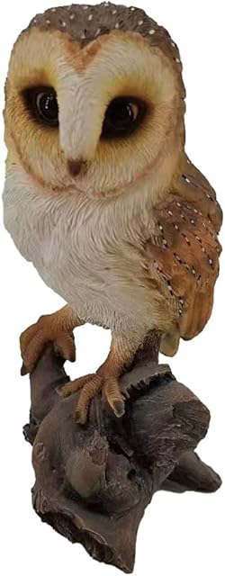 Garden & Home Decor  Wild British Bird Polyresin Statue - Hand Painted Figurine - Intricate Detail Suitable for Indoor or Outdoor Use - Frost and Fade Resistant Animal Lawn Ornament (Barn Owl)